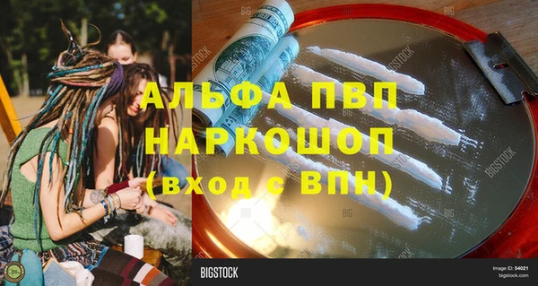 стаф Алексин
