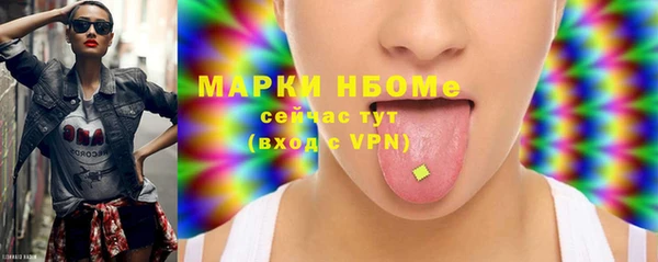 стаф Алексин