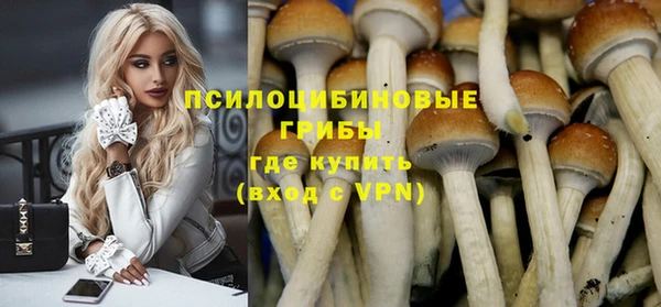 стаф Алексин