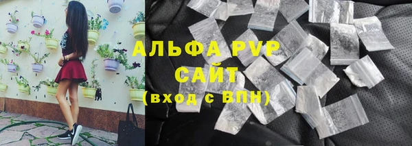 стаф Алексин
